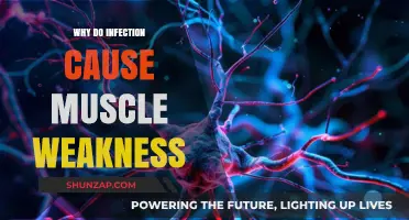 How Infections Trigger Muscle Weakness: Understanding the Hidden Connection