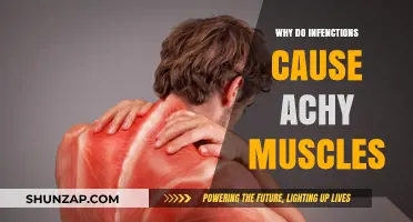 Why Infections Trigger Muscle Aches: Understanding the Body's Response