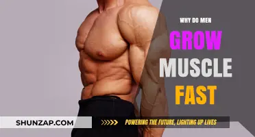 Why Men Build Muscle Faster: Science Behind Rapid Strength Gains