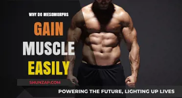 Mesomorph Muscle Mastery: Unlocking the Secrets of Easy Gains