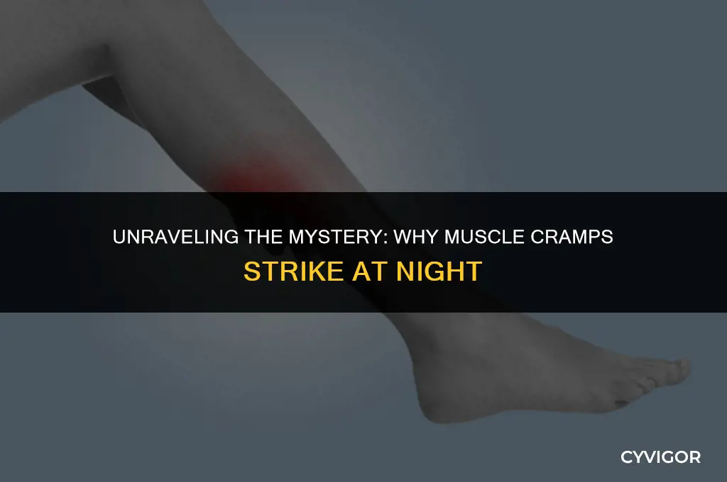 why do muscle cramps happen at night