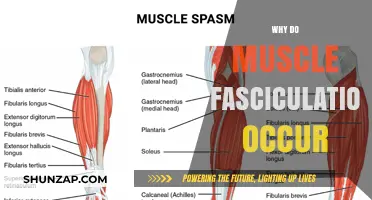 Understanding Muscle Fasciculations: Why Do They Occur?