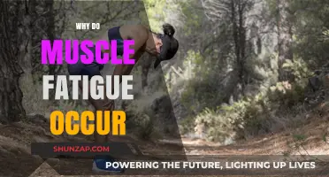 Understanding Muscle Fatigue: Causes and Prevention