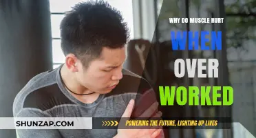 Overworked Muscles: Understanding the Pain and How to Prevent It
