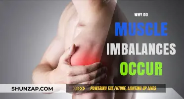 Muscle Imbalances: Causes and How to Prevent Them