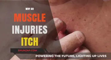 Muscle Injuries Itch: What's the Science?