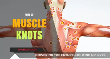 Understanding Muscle Knots: Why They Happen and How to Prevent Them