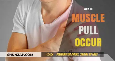 Understanding Muscle Pulls: Causes, Prevention, and Effective Recovery Strategies