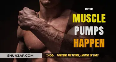 Understanding Muscle Pumps: The Science Behind the Swell