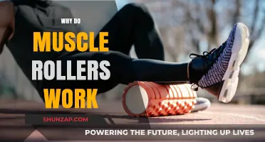 How Muscle Rollers Relieve Pain and Enhance Recovery Effectively