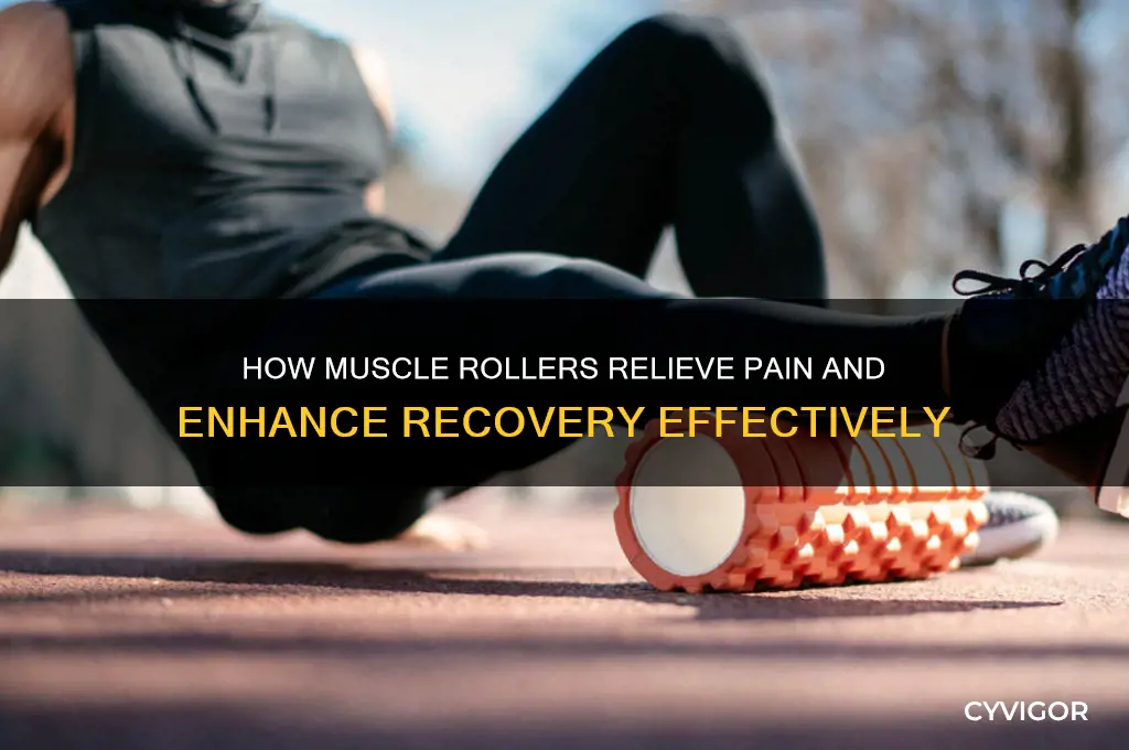 why do muscle rollers work