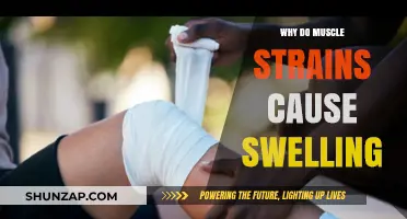 Understanding Muscle Strains: Causes and Mechanisms of Swelling Explained