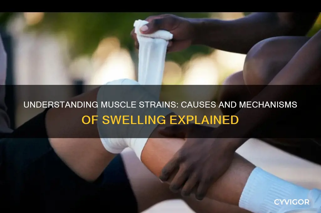 why do muscle strains cause swelling