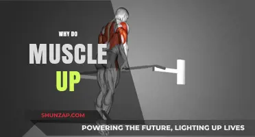 Master Muscle-Ups: Unlocking Upper-Body Strength and Power