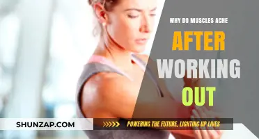 Understanding Post-Workout Muscle Soreness: Causes and Remedies
