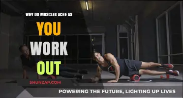 Understanding Muscle Soreness: Why Workouts Cause Aches and Pains