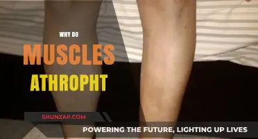 Muscle Atrophy: Understanding the Root Cause of Muscle Wasting
