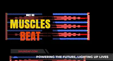 Muscle Beats: What's the Rhythm Behind?