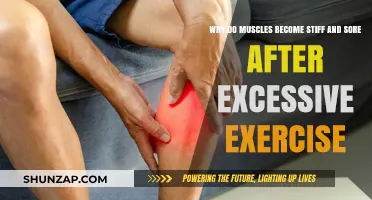 Understanding Post-Workout Muscle Stiffness and Soreness: Causes and Remedies
