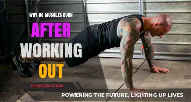 Muscle Burn After Workouts: Understanding the Science Behind the Soreness