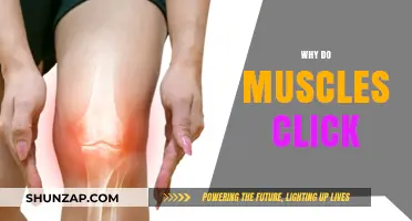 Understanding Muscles: Why the Clicking Noise?