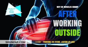 Why Muscles Cramp After Outdoor Work: Causes and Prevention Tips