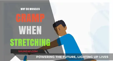 Unraveling the Mystery: Why Do Muscles Cramp When Stretching?