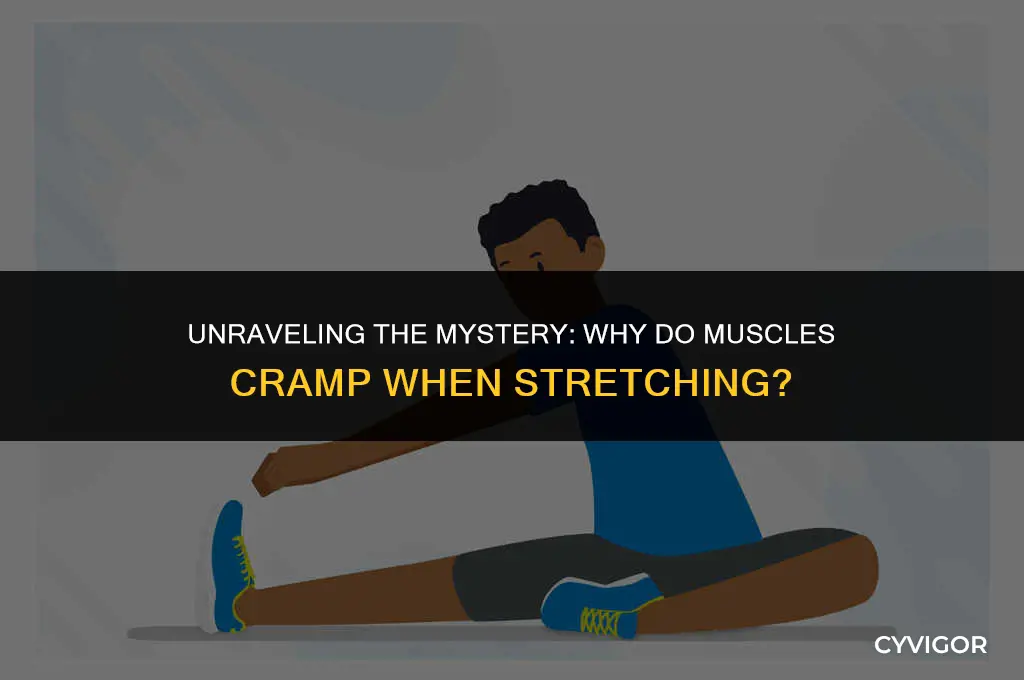why do muscles cramp when stretching