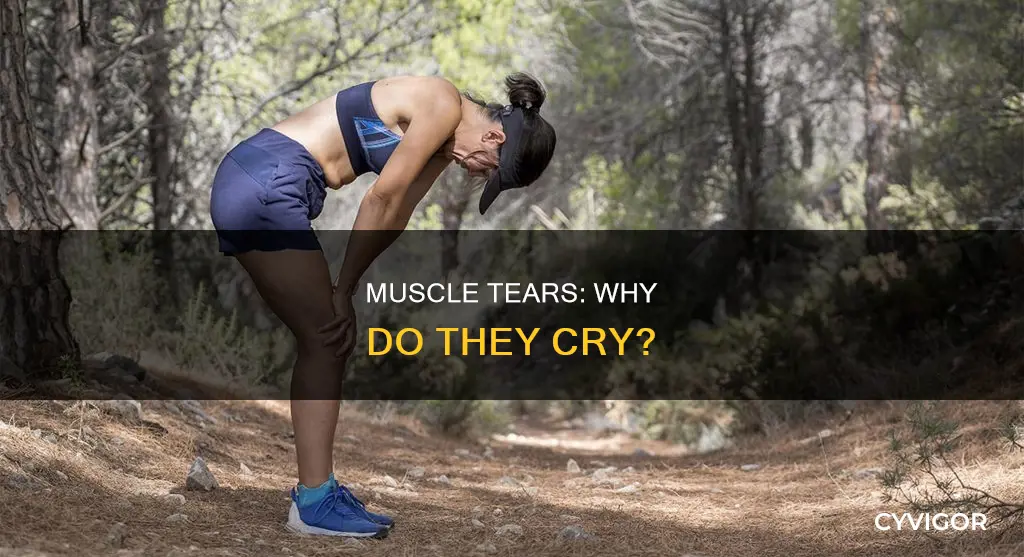 why do muscles cry