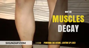 Muscle Decay: What's the Science Behind It?