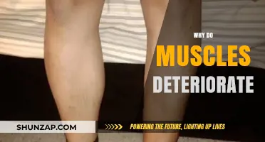 The Mystery of Muscle Loss: Why Do Muscles Deteriorate?