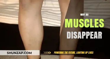 Muscle Loss: What's Behind the Disappearing Act?