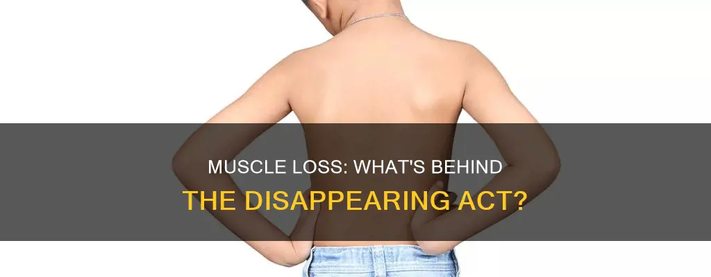 why do muscles disappear