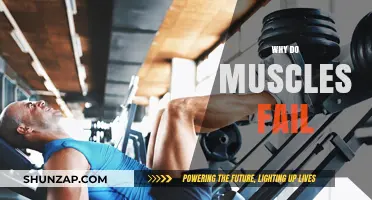 Muscle Failure: Understanding the Limits of Strength Training