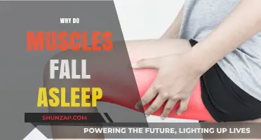Muscle Numbness: Why Do Limbs Fall Asleep?