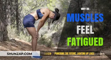 Understanding Muscle Fatigue: What Causes That Tired Feeling?
