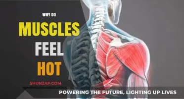 Understanding the Heat Behind Muscle Soreness