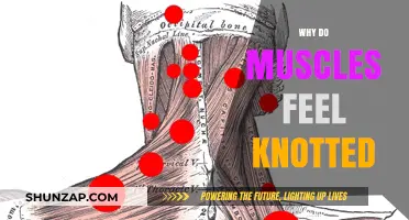 Unraveling the Mystery of Muscle Knots