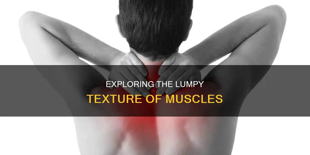 why do muscles feel lumpy