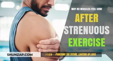 Understanding Muscle Soreness: Causes and Recovery After Intense Workouts