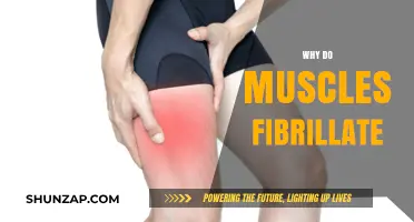 Muscle Fibrillation: Unraveling the Mystery of Twitching Muscles