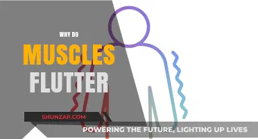 Muscle Flutter Mystery: What's Behind the Twitch?