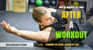 Unraveling the Mystery: Why Muscles Ache Post-Exercise