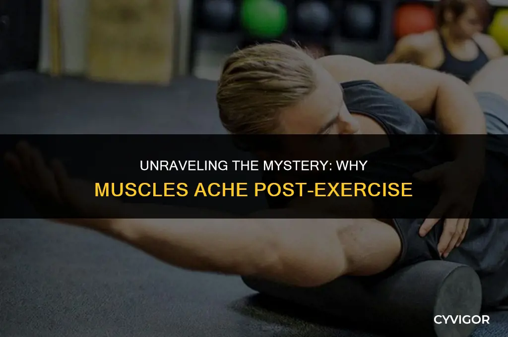 why do muscles get sore after a workout