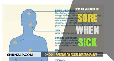 Understanding Muscle Aches: The Connection Between Illness and Soreness