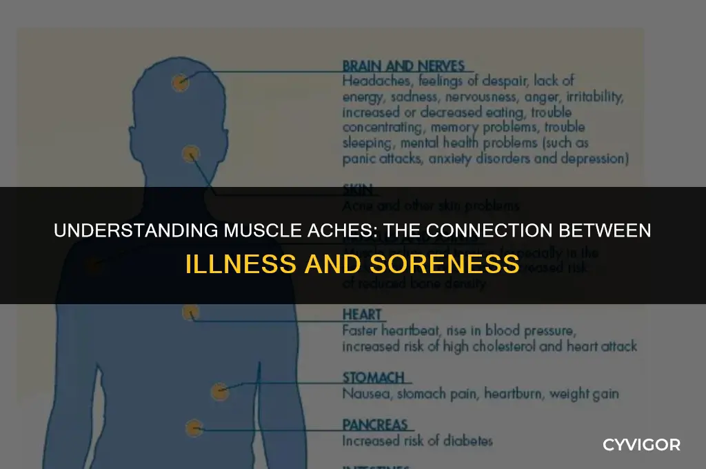 why do muscles get sore when sick