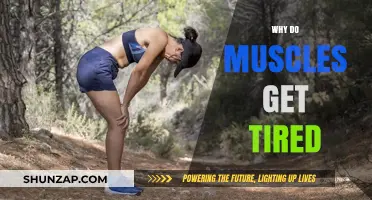Unraveling the Mystery: Why Do Muscles Get Tired?