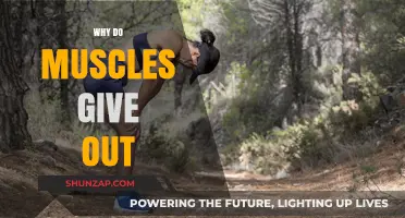 Muscle Fatigue: Why Muscles Give Out