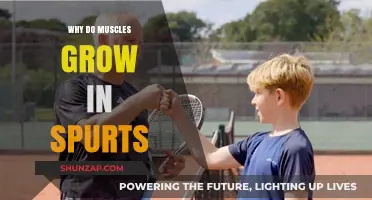 Muscle Growth Spurts: Unlocking the Science Behind Sudden Gains