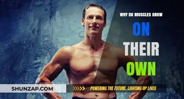 How Muscles Grow Naturally: Unlocking the Body's Self-Repair Secrets